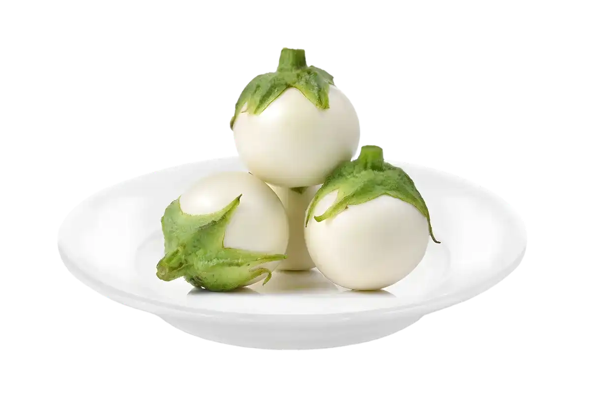 Trois angivy naturels, aubergines blanches malgaches, présentées sur une assiette blanche, légume authentique pour cuisine exotique.